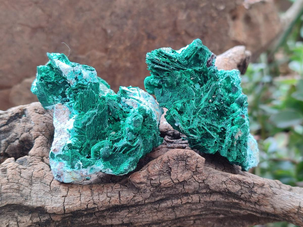 Natural Rare Malachite Pseudomorph Specimens x 6 From Kolwezi, Congo