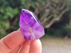 Polished Window Amethyst Crystals x 20 From Akansobe, Madagascar