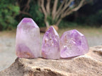 Polished Window Amethyst Crystals x 20 From Akansobe, Madagascar