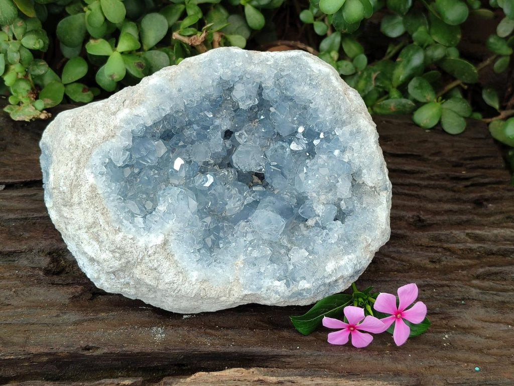 Natural Large Blue Celestite Geode Specimen x 1 From Sakoany, Madagascar
