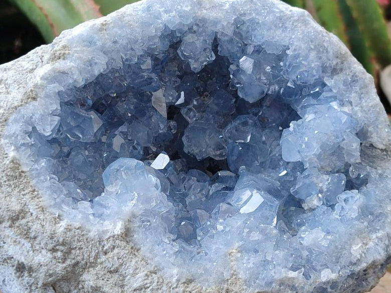 Natural Large Blue Celestite Geode Specimen x 1 From Sakoany, Madagascar