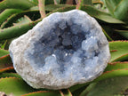 Natural Large Blue Celestite Geode Specimen x 1 From Sakoany, Madagascar