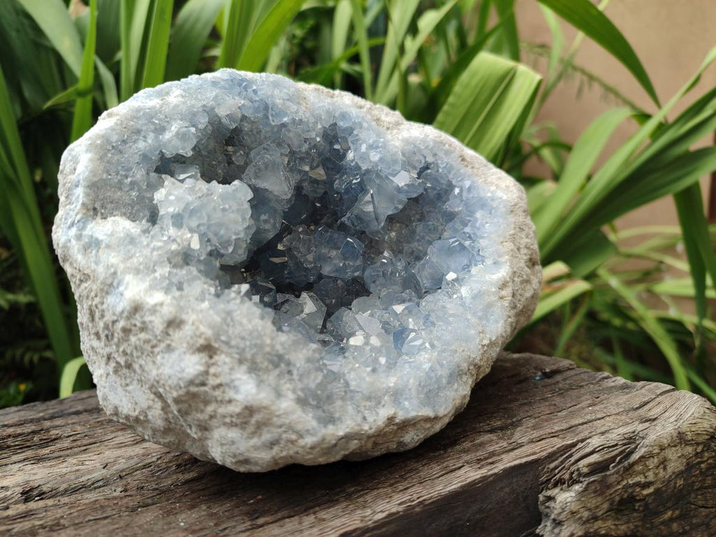Natural Large Blue Celestite Geode Specimen x 1 From Sakoany, Madagascar