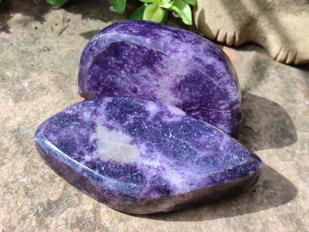 Polished Dark Purple Lepidolite Free Forms x 3 From Zimbabwe