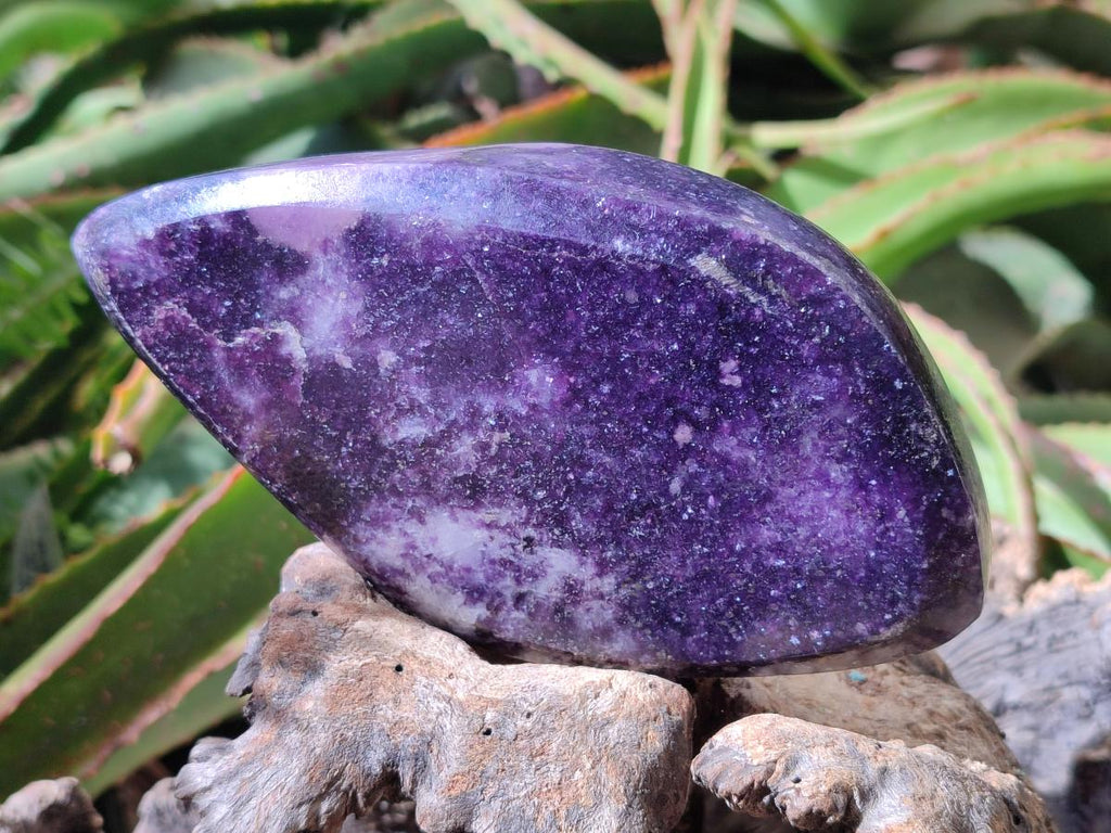 Polished Dark Purple Lepidolite Free Forms x 3 From Zimbabwe