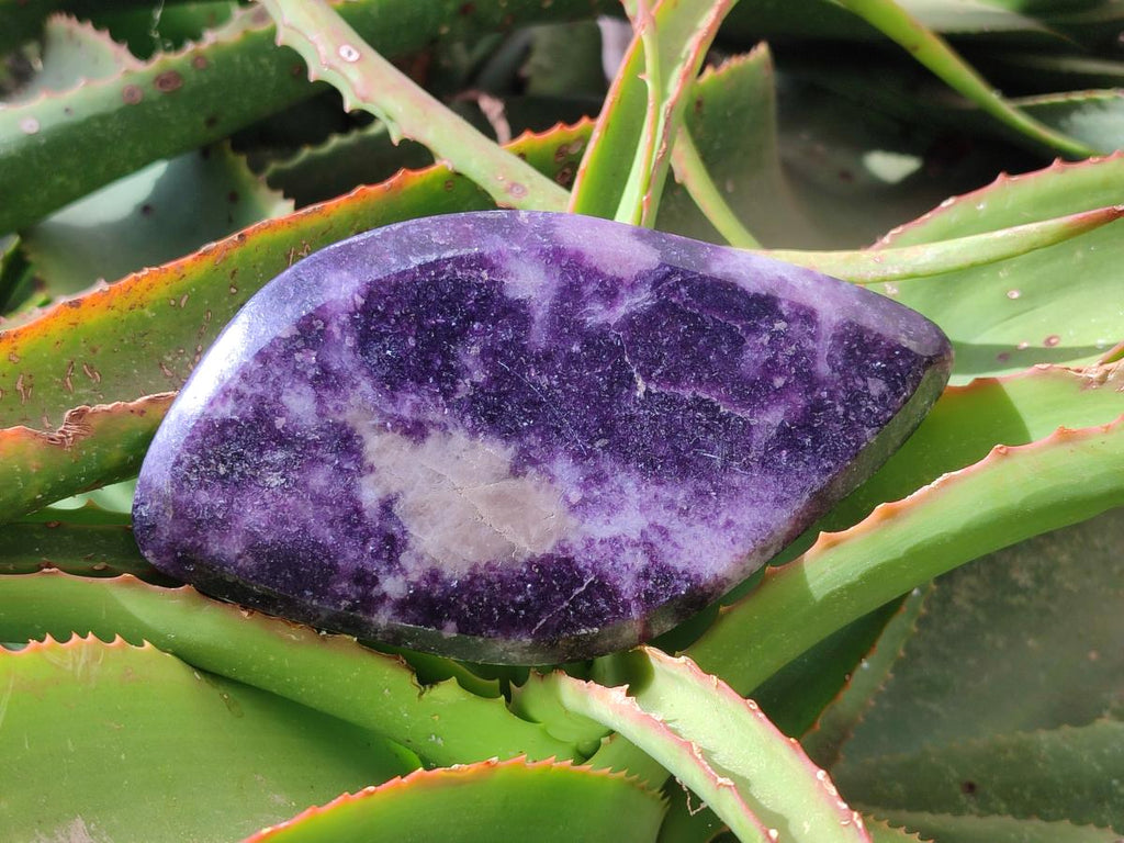 Polished Dark Purple Lepidolite Free Forms x 3 From Zimbabwe
