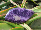 Polished Dark Purple Lepidolite Free Forms x 3 From Zimbabwe