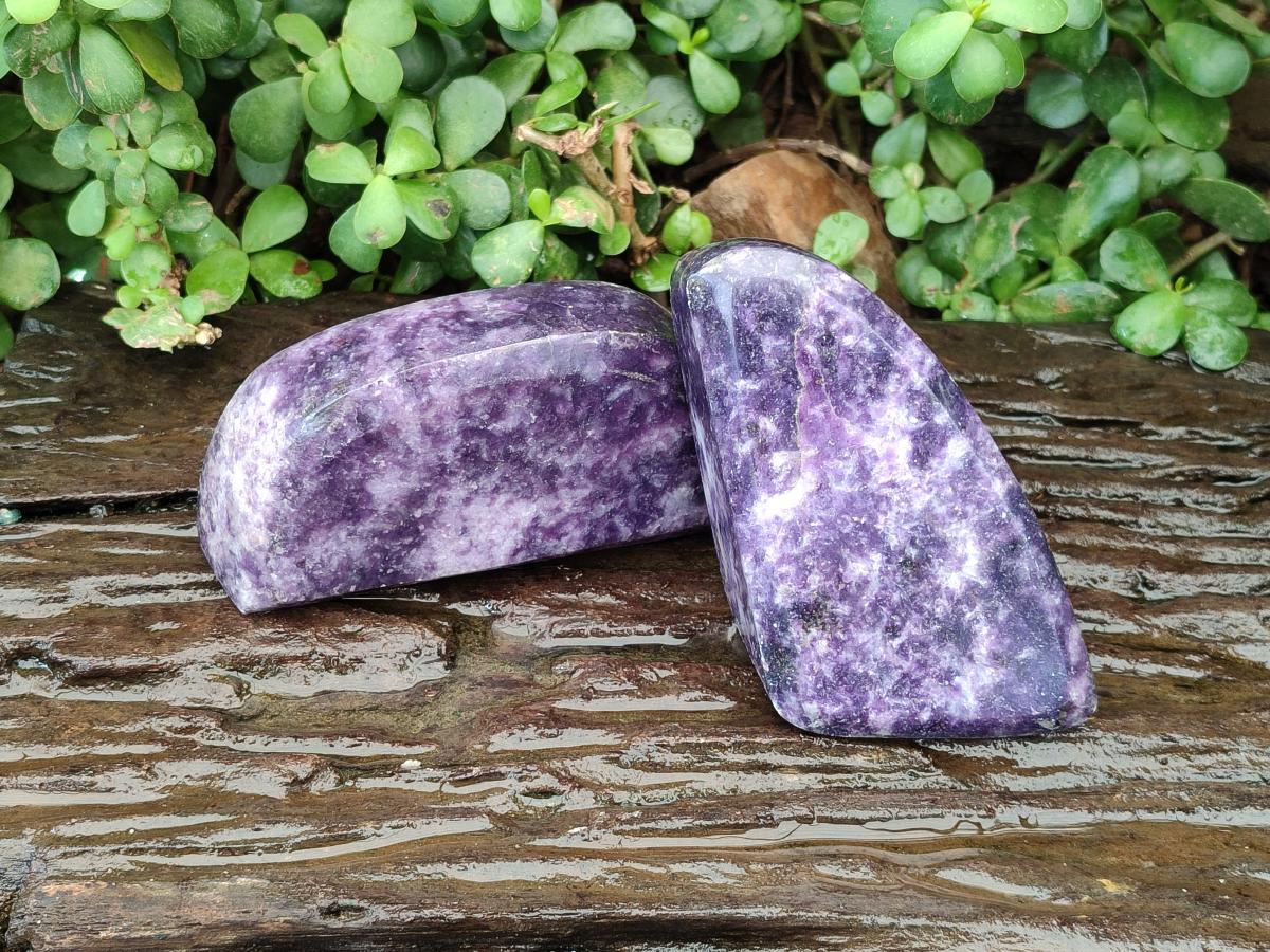 Polished Dark Purple Lepidolite Free Forms x 3 From Zimbabwe