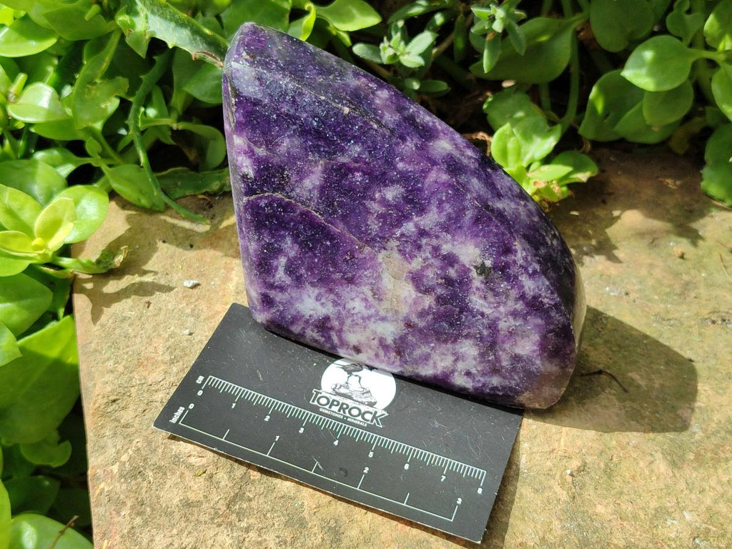 Polished Dark Purple Lepidolite Free Forms x 3 From Zimbabwe