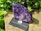 Polished Dark Purple Lepidolite Free Forms x 3 From Zimbabwe