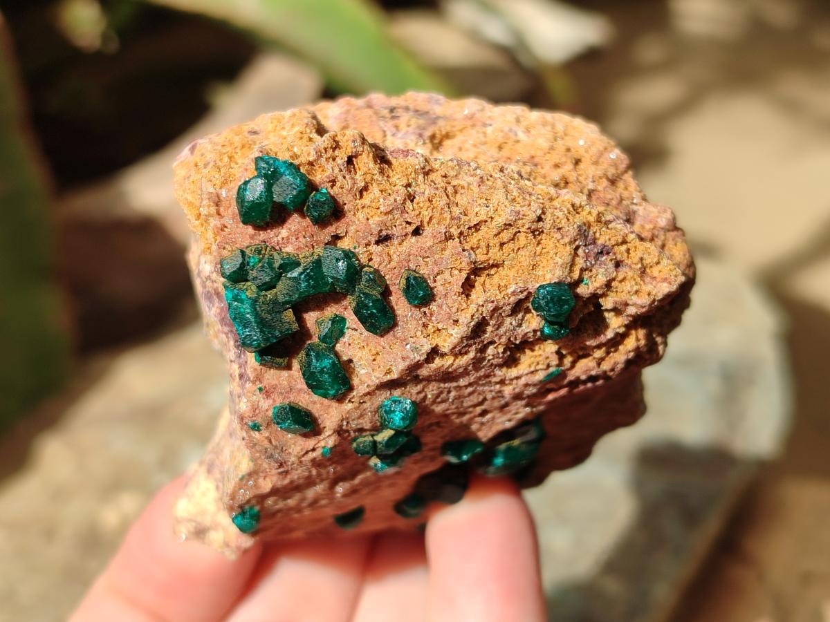 Natural Dioptase on Dolomite Specimens x 6 From Likasi, Congo