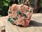 Natural Dioptase on Dolomite Specimens x 6 From Likasi, Congo