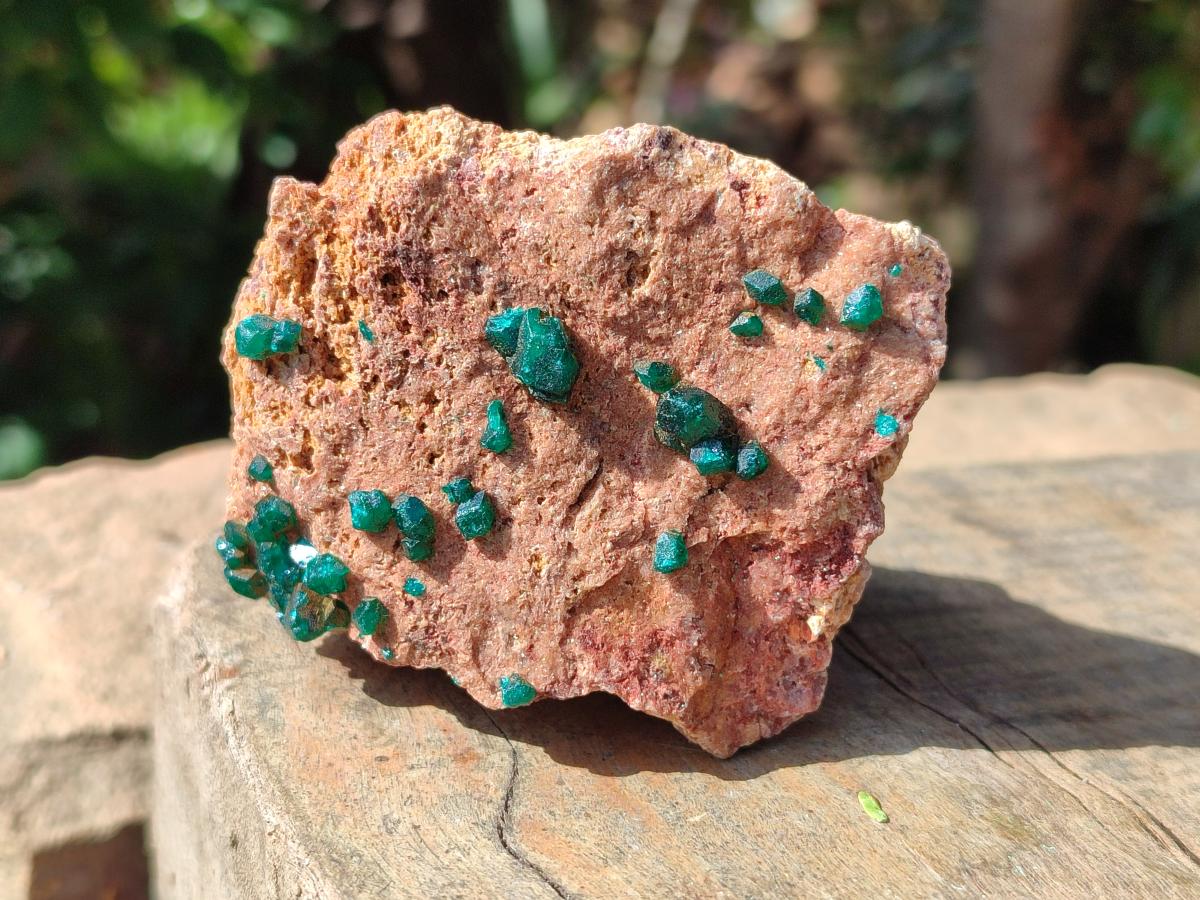 Natural Dioptase on Dolomite Specimens x 6 From Likasi, Congo