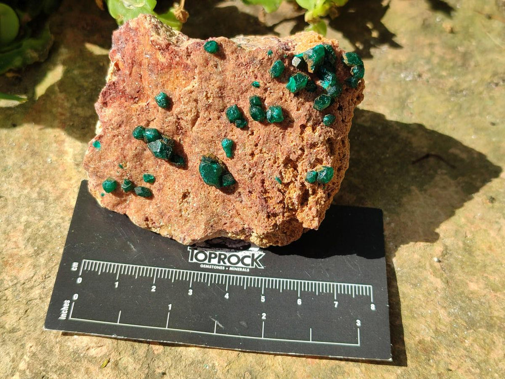 Natural Dioptase on Dolomite Specimens x 6 From Likasi, Congo