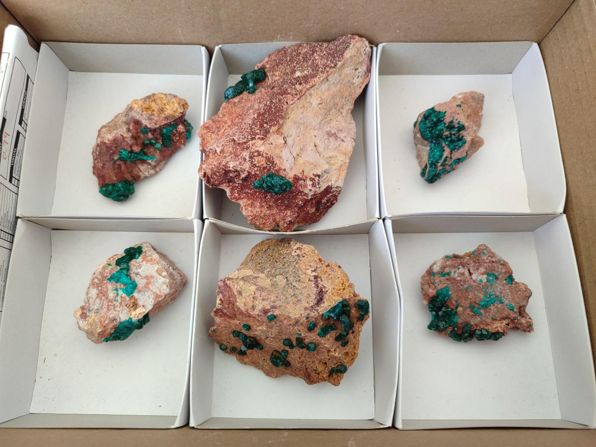 Natural Dioptase on Dolomite Specimens x 6 From Likasi, Congo