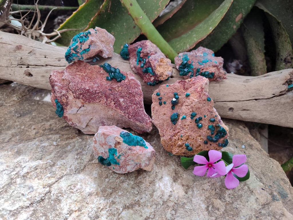 Natural Dioptase on Dolomite Specimens x 6 From Likasi, Congo