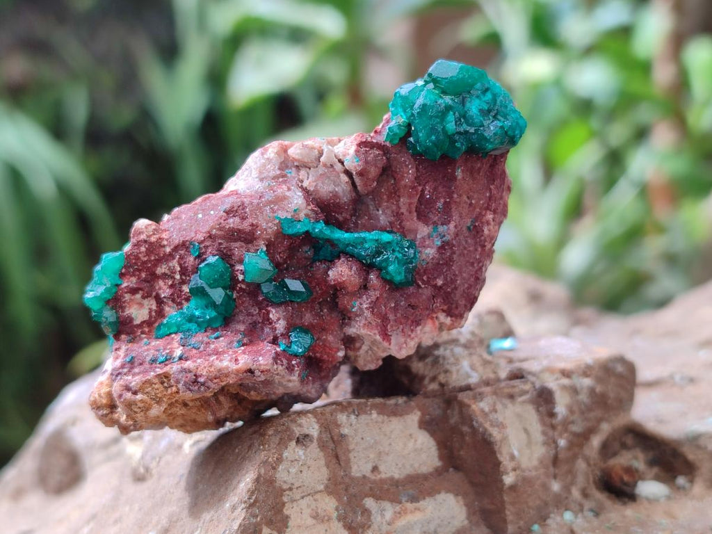 Natural Dioptase on Dolomite Specimens x 6 From Likasi, Congo
