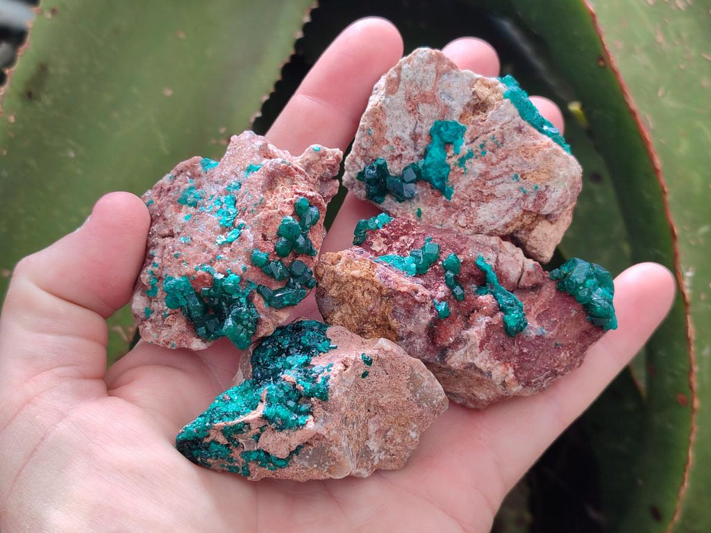 Natural Dioptase on Dolomite Specimens x 6 From Likasi, Congo