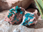 Natural Dioptase on Dolomite Specimens x 6 From Likasi, Congo