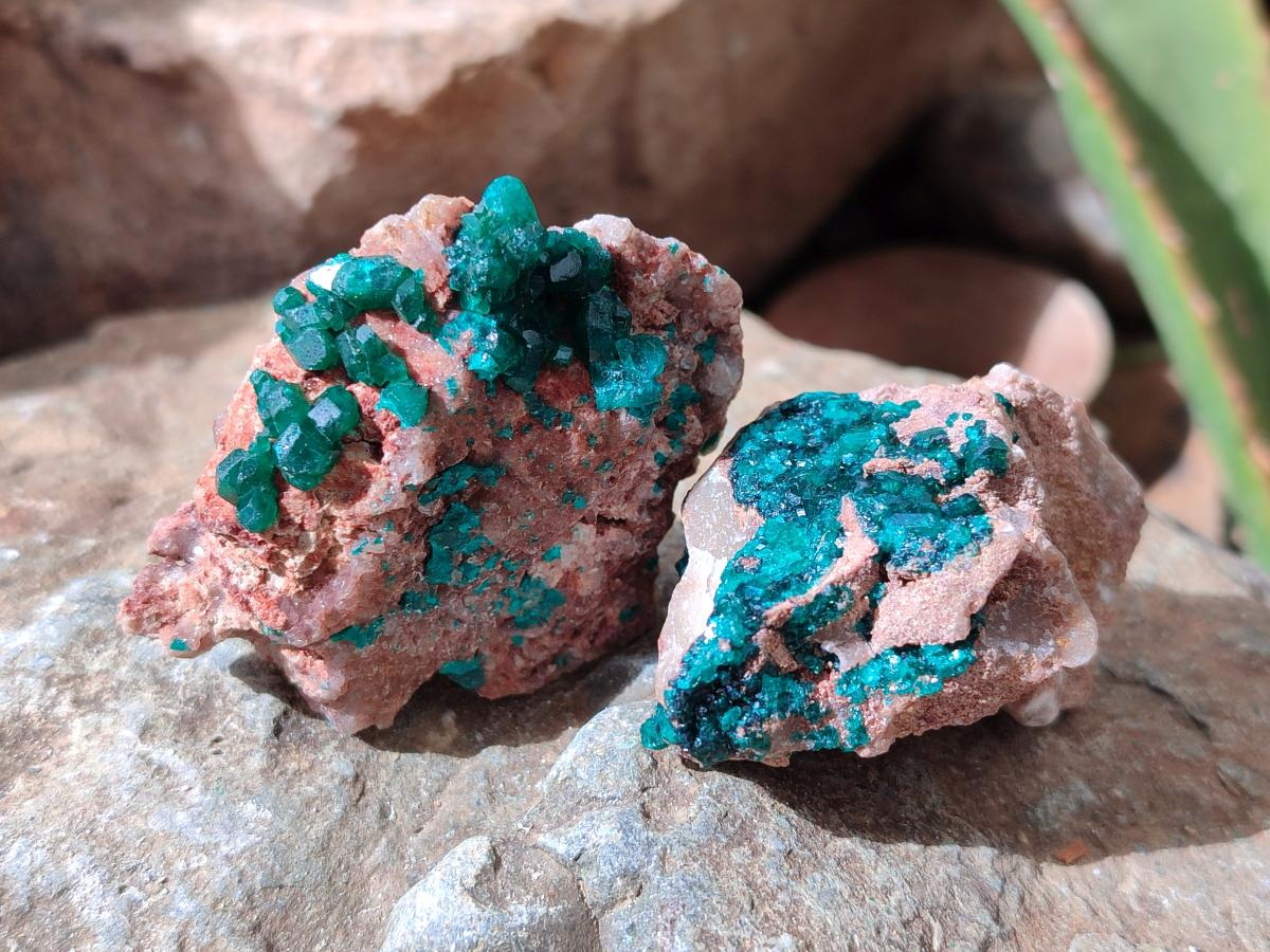 Natural Dioptase on Dolomite Specimens x 6 From Likasi, Congo