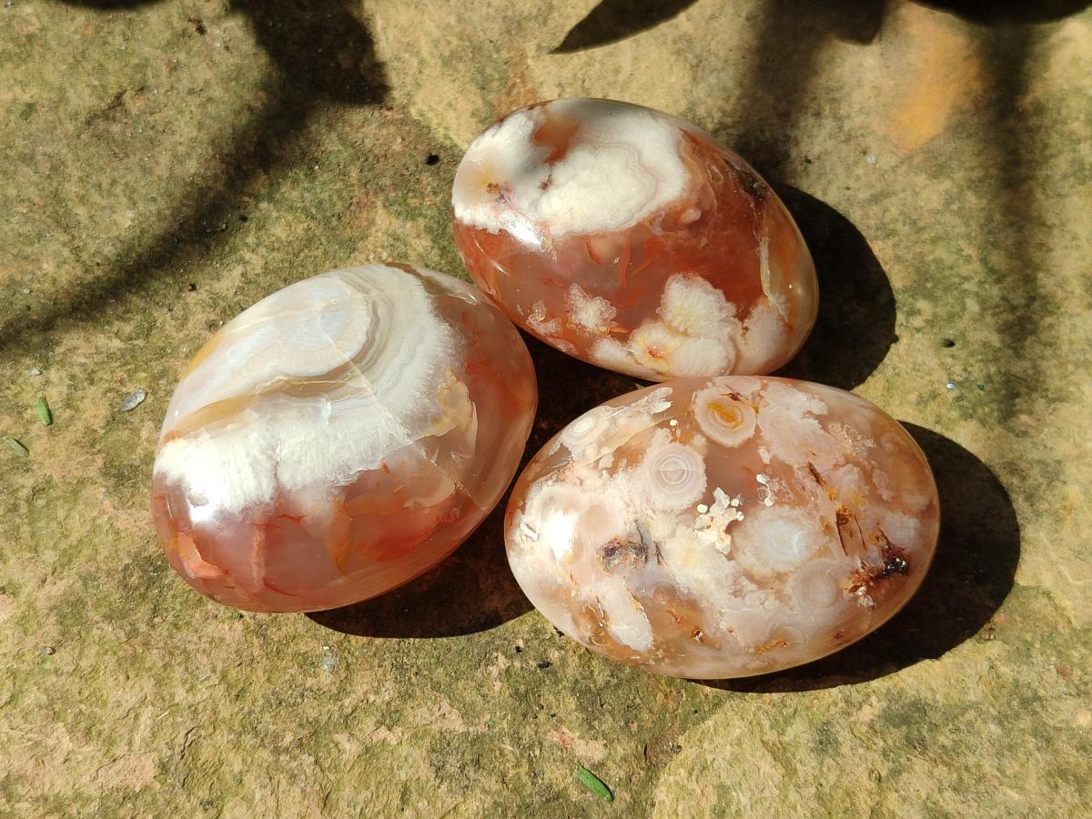 Polished Flower Agate Palm Stones x 16 From Antsahalova, Madagascar