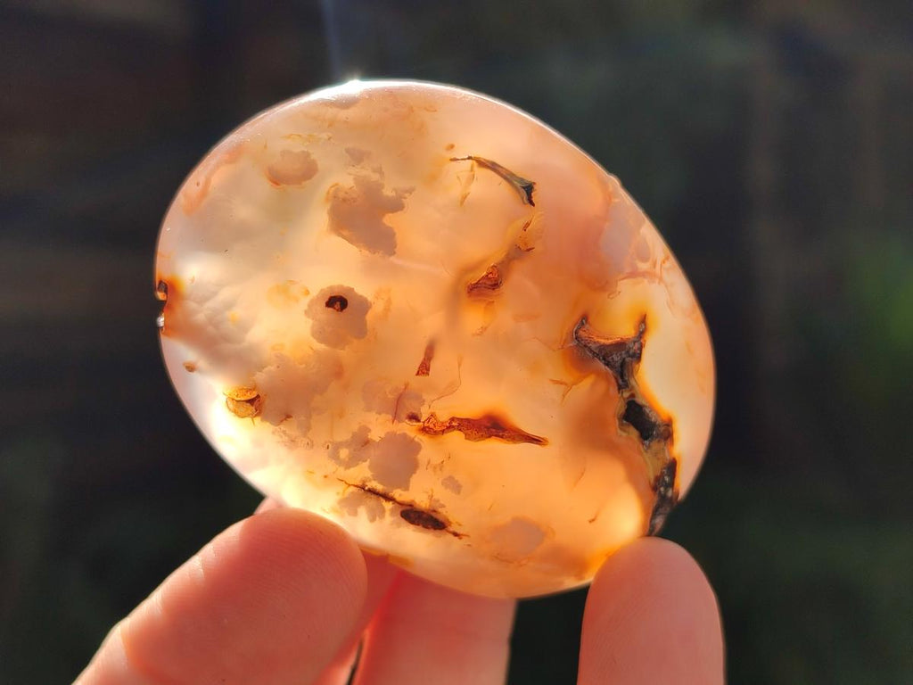 Polished Flower Agate Palm Stones x 16 From Antsahalova, Madagascar