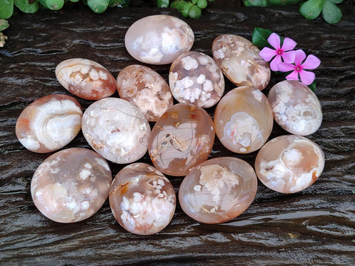 Polished Flower Agate Palm Stones x 16 From Antsahalova, Madagascar