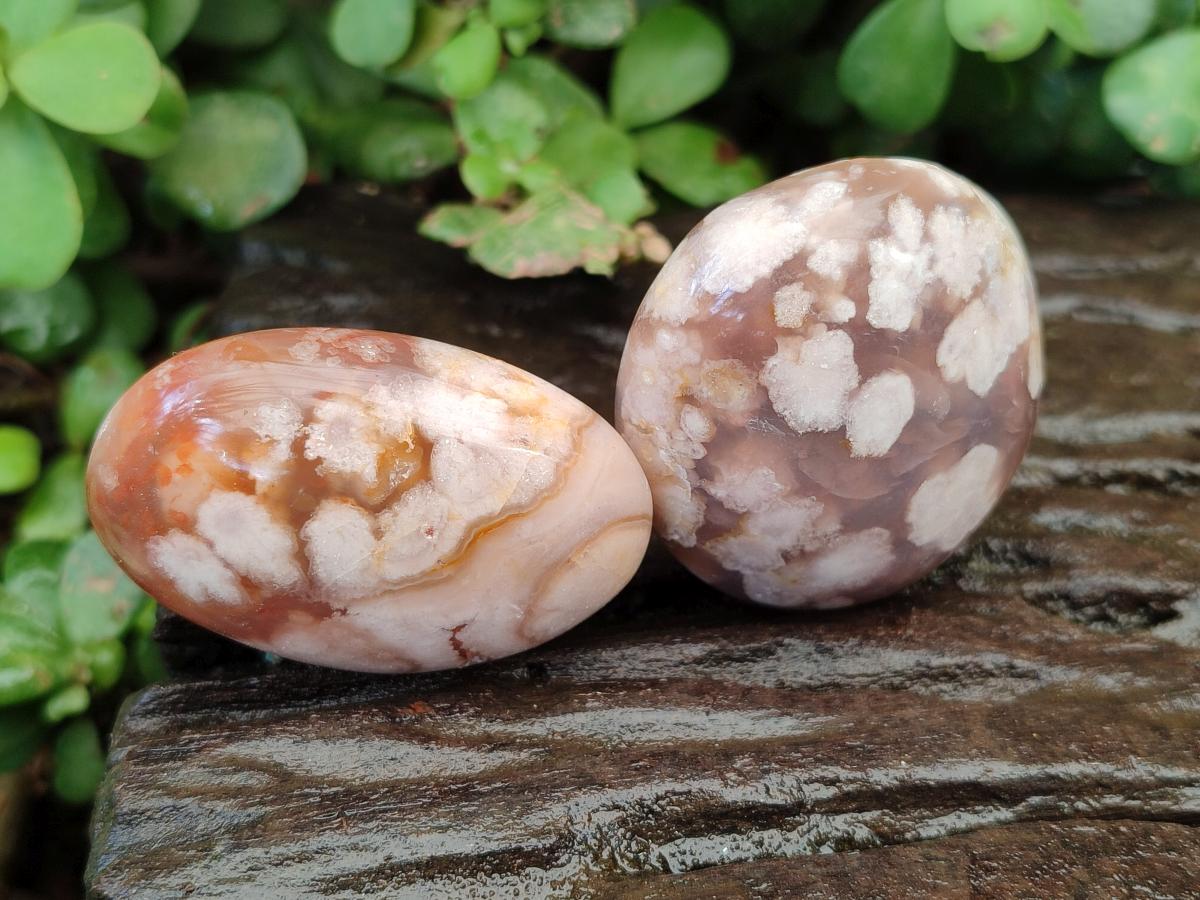 Polished Flower Agate Palm Stones x 16 From Antsahalova, Madagascar