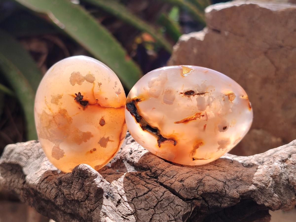 Polished Flower Agate Palm Stones x 16 From Antsahalova, Madagascar