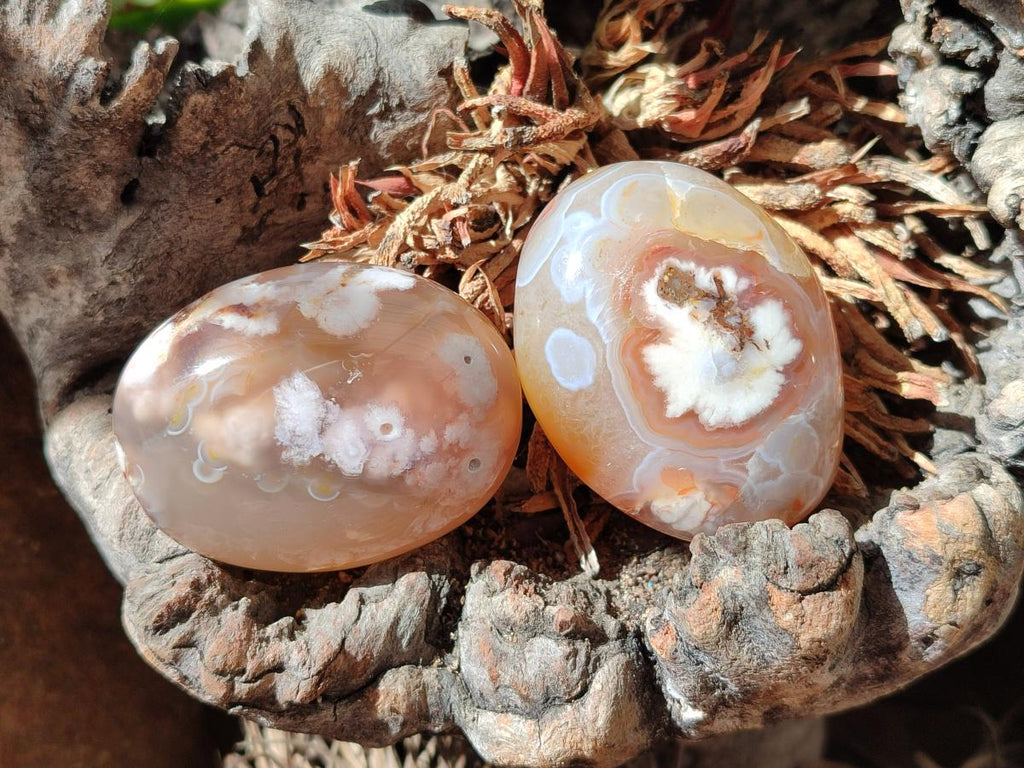 Polished Flower Agate Palm Stones x 16 From Antsahalova, Madagascar