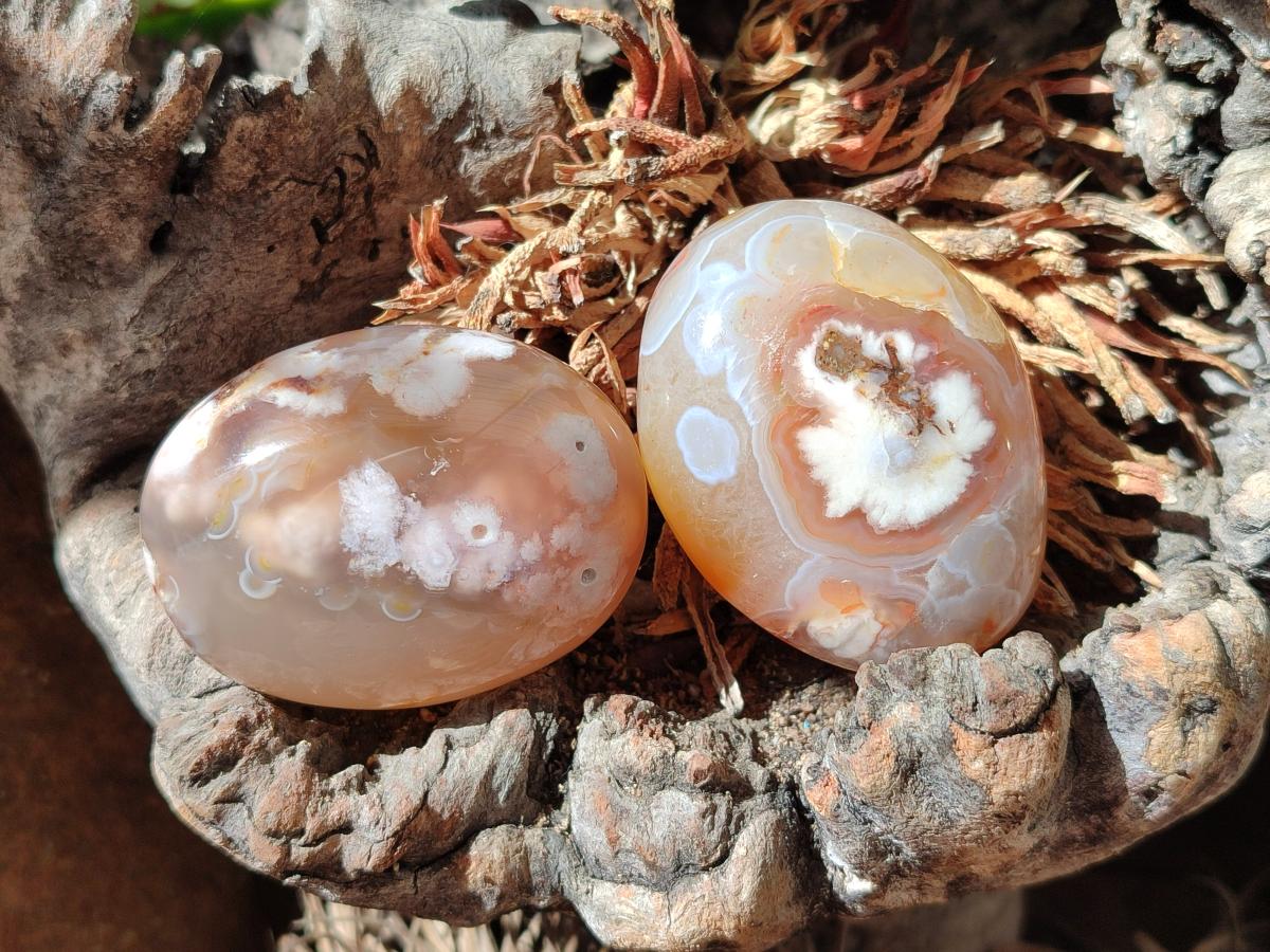 Polished Flower Agate Palm Stones x 16 From Antsahalova, Madagascar