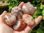 Polished Flower Agate Palm Stones x 16 From Antsahalova, Madagascar