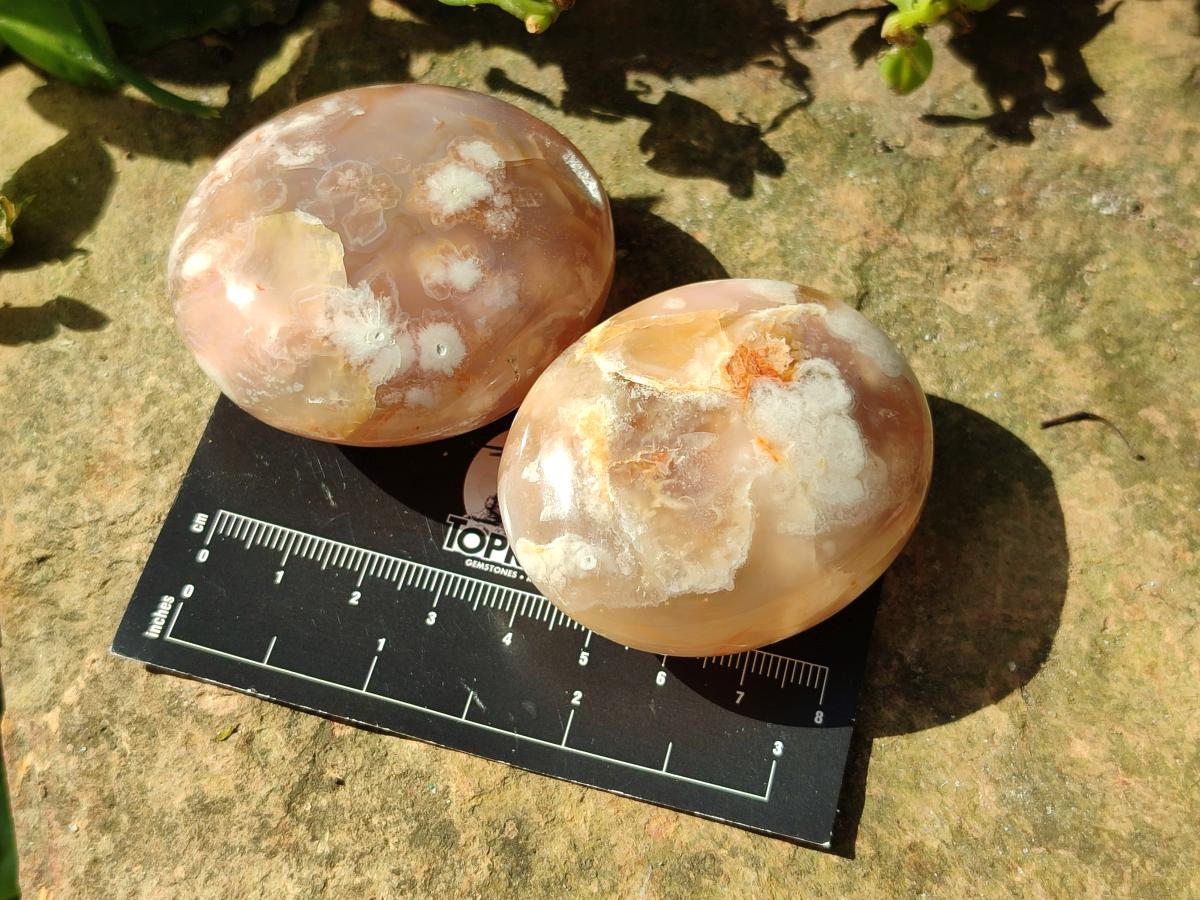 Polished Flower Agate Palm Stones x 16 From Antsahalova, Madagascar
