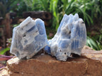 Natural Sky Blue Calcite Specimens x 12 From Spitzkop, Namibia