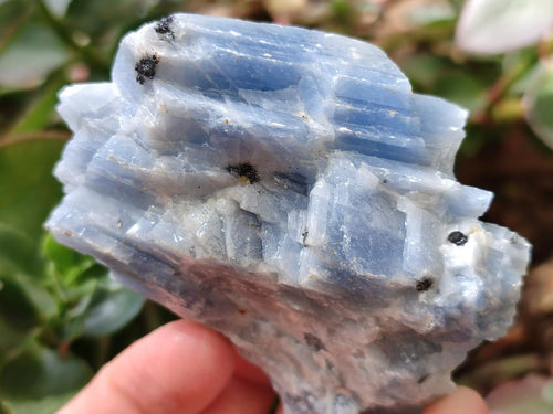 Natural Sky Blue Calcite Specimens x 12 From Spitzkop, Namibia