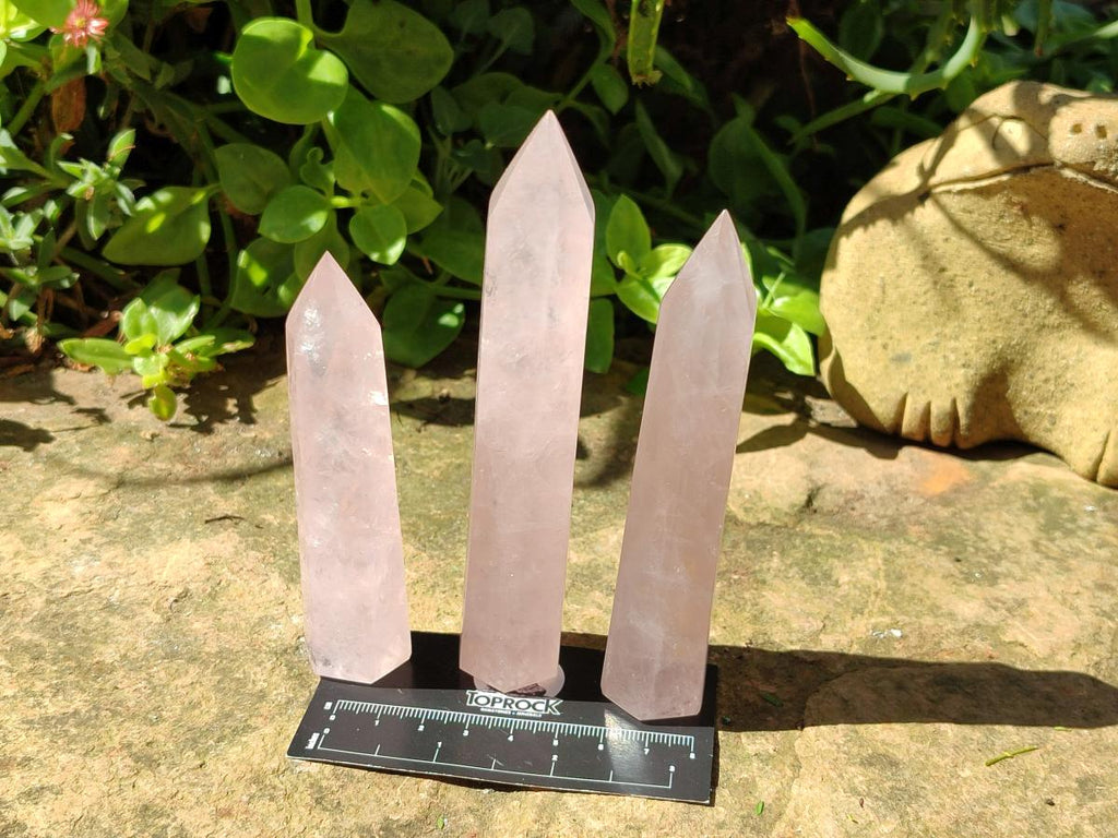 Polished Long Gemmy Rose Quartz Crystals x 12 From Madagascar