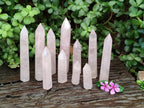 Polished Long Gemmy Rose Quartz Crystals x 12 From Madagascar