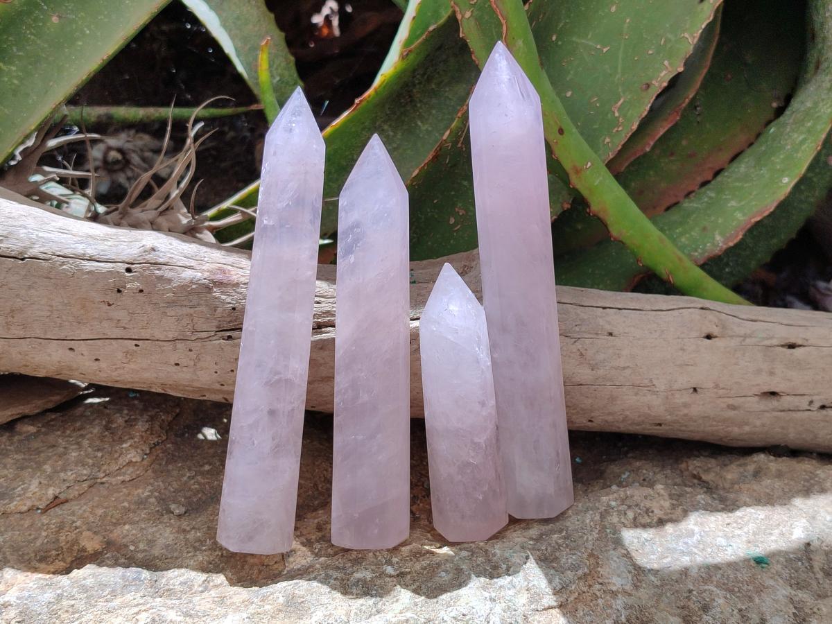 Polished Long Gemmy Rose Quartz Crystals x 12 From Madagascar