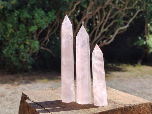 Polished Long Gemmy Rose Quartz Crystals x 12 From Madagascar