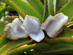 Natural Blue Lace Agate Geode and Cluster Specimens x 24 From Nsanje, Malawi