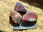 Polished One Side Red Shashe River Agate Nodules x 35 From Shashe River, Zimbabwe