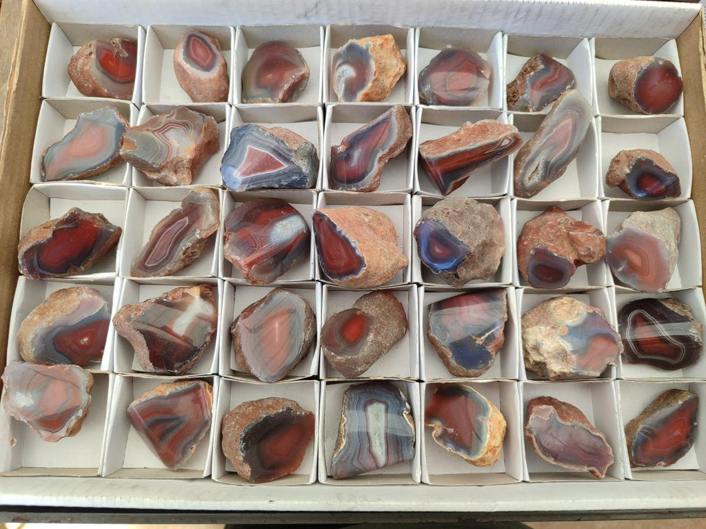 Polished One Side Red Shashe River Agate Nodules x 35 From Shashe River, Zimbabwe