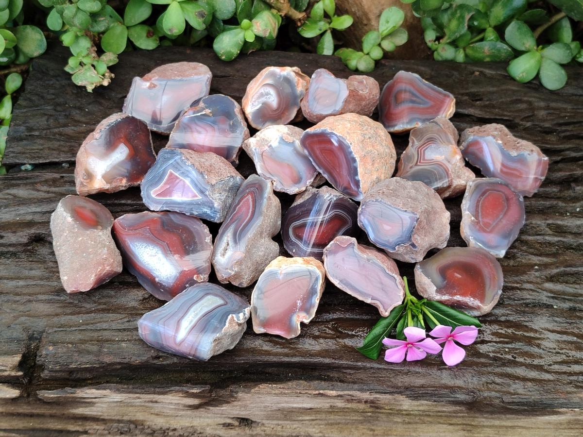 Polished One Side Red Shashe River Agate Nodules x 35 From Shashe River, Zimbabwe