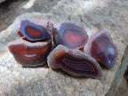 Polished One Side Red Shashe River Agate Nodules x 35 From Shashe River, Zimbabwe