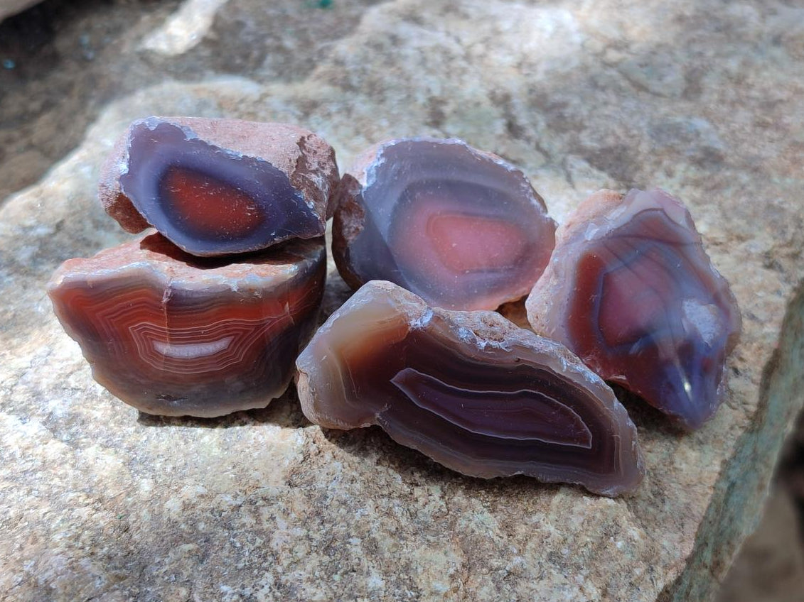 Polished One Side Red Shashe River Agate Nodules x 35 From Shashe River, Zimbabwe