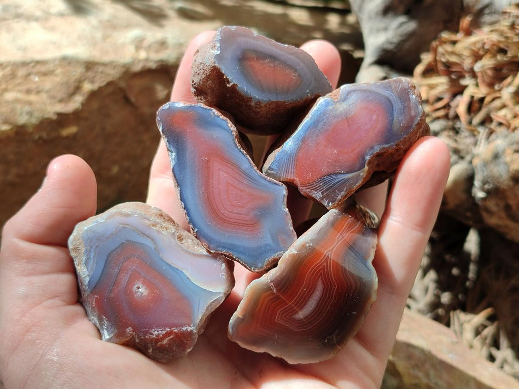 Polished One Side Red Shashe River Agate Nodules x 35 From Shashe River, Zimbabwe