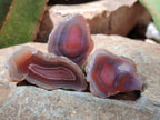Polished One Side Red Shashe River Agate Nodules x 35 From Shashe River, Zimbabwe