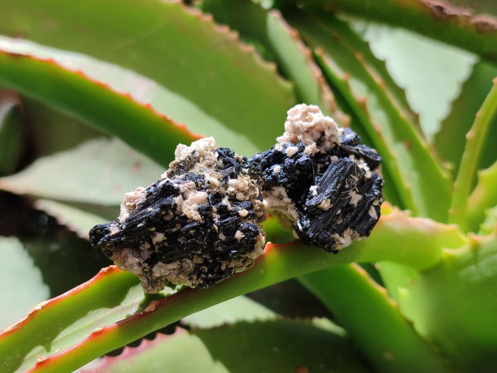 Natural Schorl Black Tourmaline with Mica x 70 From Erongo, Namibia