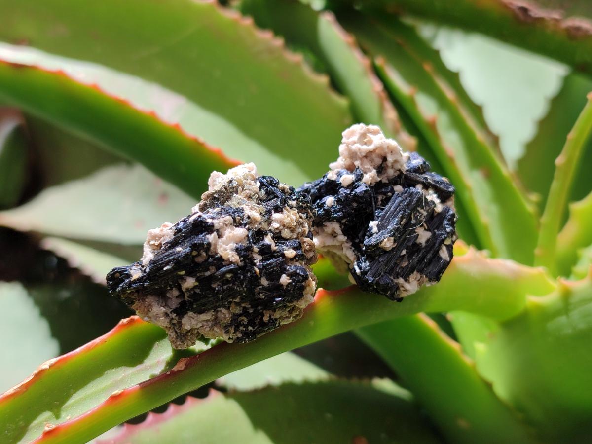 Natural Schorl Black Tourmaline with Mica x 70 From Erongo, Namibia