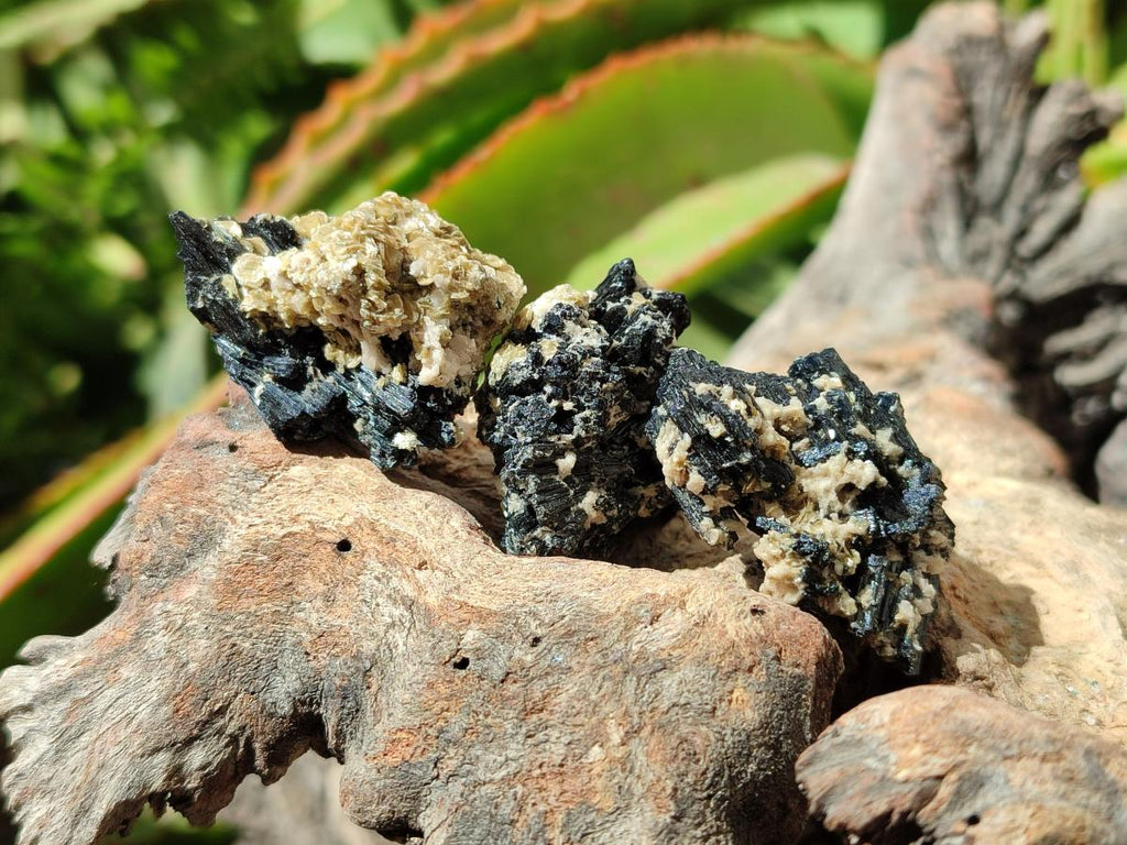 Natural Schorl Black Tourmaline with Mica x 70 From Erongo, Namibia